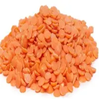 Red Lentil
